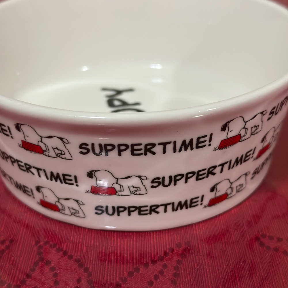 Peanuts Snoopy Pet Bowl collection - Picture 10 of 15